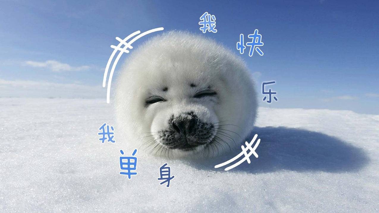 彩虹卡盟|梓豪代刷网_QQ代刷网/免费刷赞网站|0.01抖音作品点赞自助